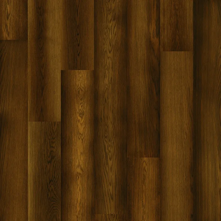 Arquisuelo