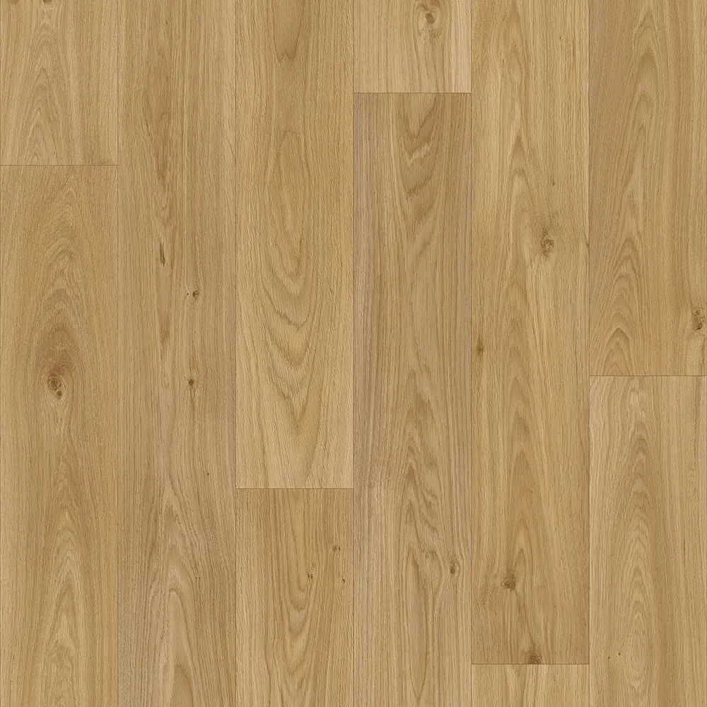 Arquisuelo