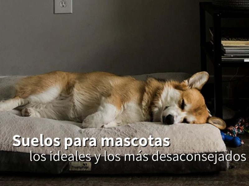 suelos para mascotas